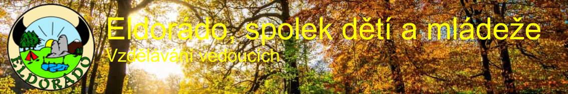 Vzdělávání vedoucích